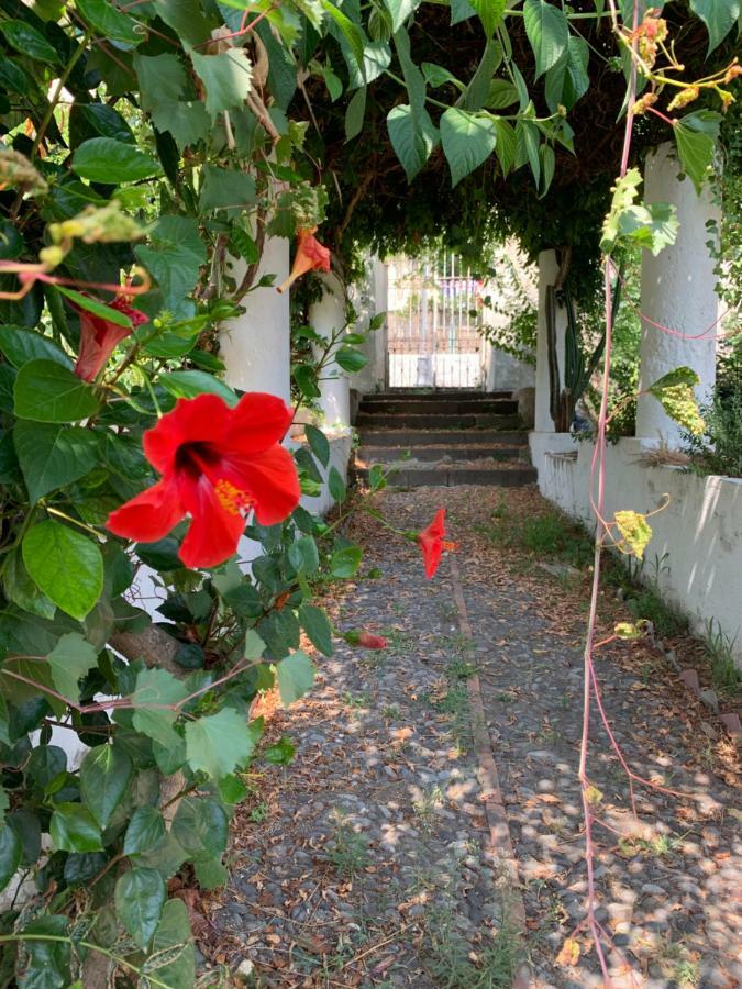 리파리 Casa Diana Arianna 아파트 외부 사진